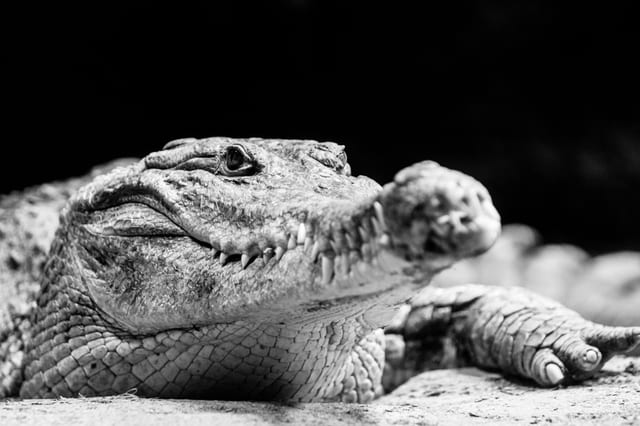 Photograph by Winter Faulk