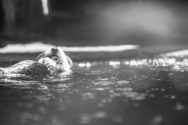Photograph by Winter Faulk
