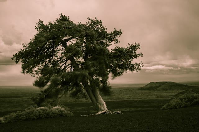 Photograph by Winter Faulk