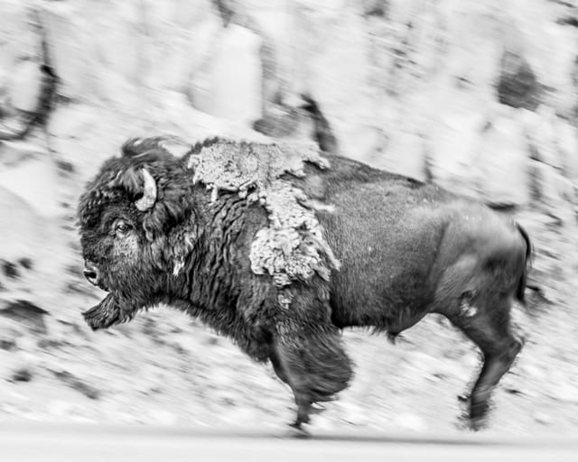 Photograph by Winter Faulk