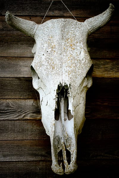 Photograph by Winter Faulk