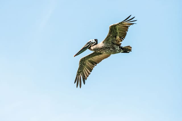Photograph by Winter Faulk