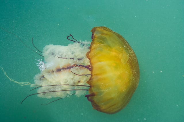 Photograph by Winter Faulk