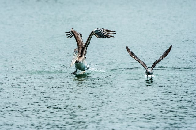 Photograph by Winter Faulk