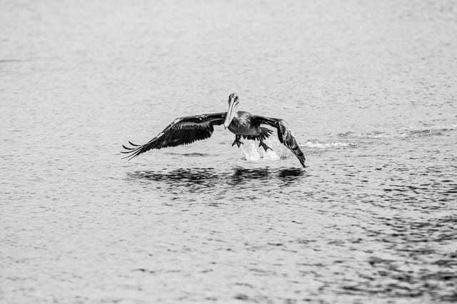 Photograph by Winter Faulk