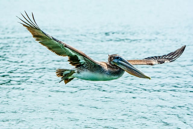 Photograph by Winter Faulk