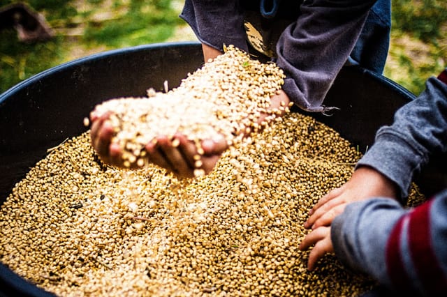 Photograph by Winter Faulk