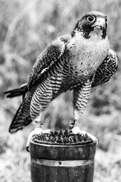 Photograph by Winter Faulk
